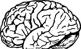 脑细胞 结构模型 矢量素材 eps格式_0008