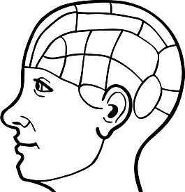 脑细胞 结构模型 矢量素材 eps格式_0007