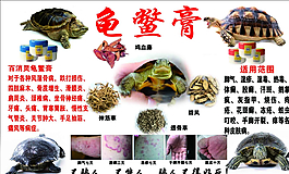 龟鳖膏图片