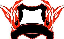 火焰图案 矢量CDR_116