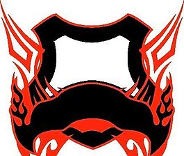 火焰图案 矢量CDR_110