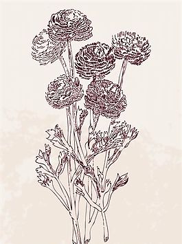 欧美花纹-2041 矢量EPS