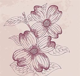 欧美花纹-2037 矢量EPS