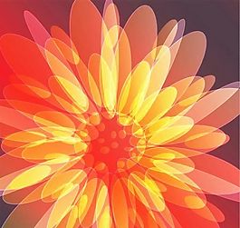 欧美花纹-2008 矢量EPS
