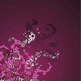 欧美花纹-1740 矢量EPS