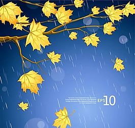 欧美花纹-1309 矢量EPS