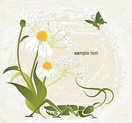 欧美花纹-880 矢量CDR