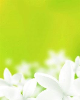 欧美花纹-744 矢量CDR