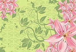 欧美花纹-724 矢量CDR