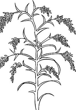 花草图案 装饰花草 矢量素材 AI格式_0028