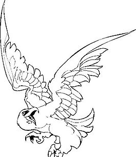 装饰图案 老鹰 鸟类图腾矢量素材 ai格式_45