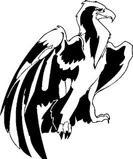 装饰图案 老鹰 鸟类图腾矢量素材 ai格式_40