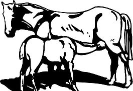 动物图案 装饰图案 矢量 AI_0007