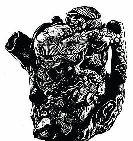元明时代 矢量版画 古典图案 矢量中华五千年 AI源文件_0629