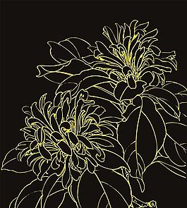 白描线条花纹-10 矢量CDR