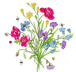 彩绘花草 韩式花纹 PSD_0564