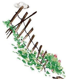 彩绘花草 分层素材 psd_0485