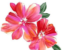 彩绘花草 分层素材 psd_0386