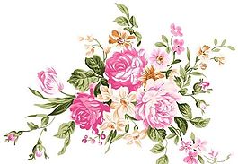 彩绘花草 分层素材 psd_0217