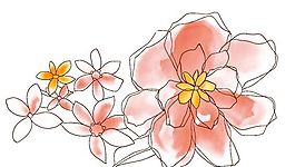 彩绘花草 分层素材 psd_0007