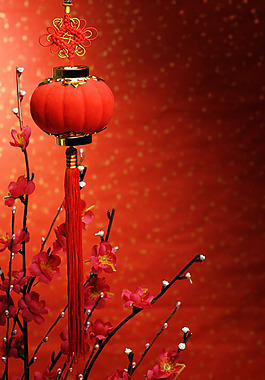灯笼鲜花背景