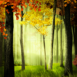 晨光秋色树林插画图片