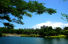 厦门大学芙蓉湖美景图片