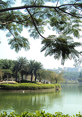 厦门大学图片