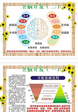 全脑开发