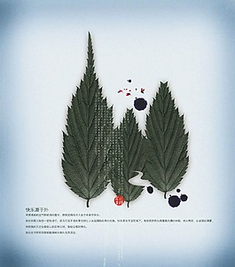 生态 绿叶  环保  创意