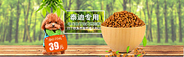泰迪专用