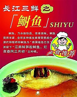 长江三鲜 鲥鱼 食品餐饮 平面模板 分层PSD_057