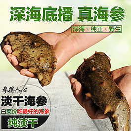 海参