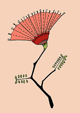 合欢花插画设计