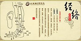 中医经络养生