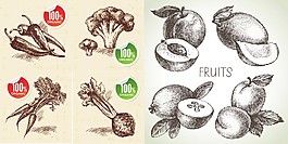 素描蔬菜