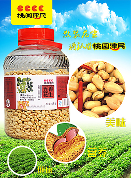 灌装 花生海报cdr