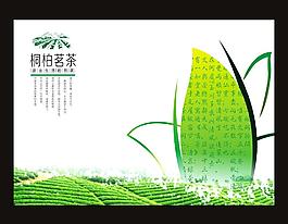 桐柏茗茶