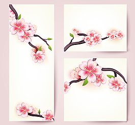 樱花花枝
