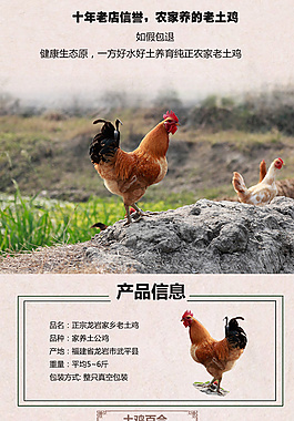 淘宝天猫家禽详情页