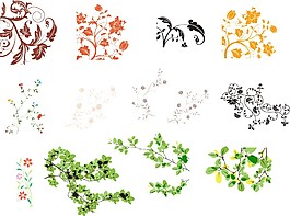 优美的花纹