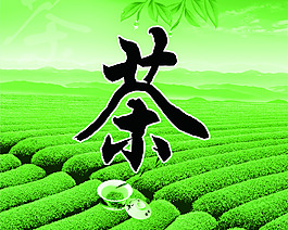 茶