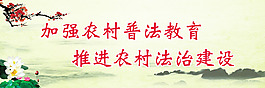法治标语