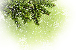 冬天的雪杉杉背景