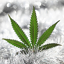 圣诞节背景素材
