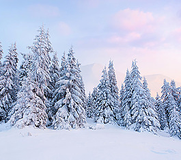 高清雪景背景素材