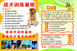 战犬训练基地彩页养狗