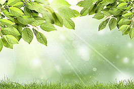 梦幻背景与树叶