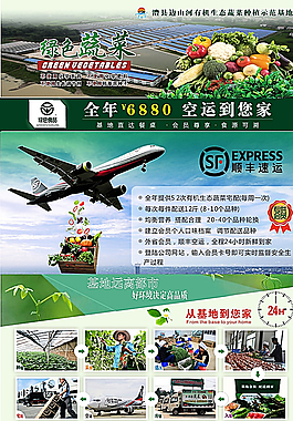 正新农业有机蔬菜省外宣传单页图片