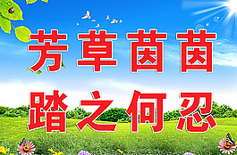爱护花草图片